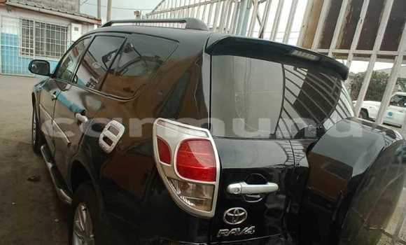 Buy Used Toyota RAV4 Black Car in Brazzaville in Municipality of Brazzaville Buy Used Toyota RAV4 Black Car in Brazzaville in Municipality of Brazzaville