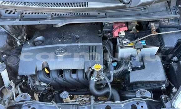 Buy Used Toyota Yaris Black Car in Brazzaville in Municipality of Brazzaville Buy Used Toyota Yaris Black Car in Brazzaville in Municipality of Brazzaville