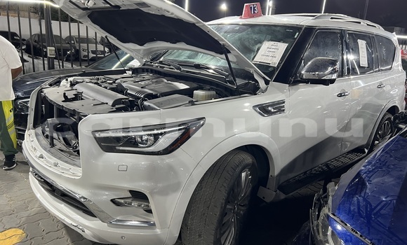 Buy Used Infiniti QX80 White Car in Brazzaville in Municipality of Brazzaville