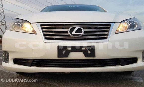 Buy Import Lexus ES White Car in Import - Dubai in Region of Bouenza Buy Import Lexus ES White Car in Import - Dubai in Region of Bouenza
