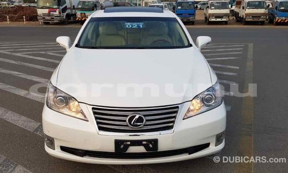 Buy Import Lexus ES White Car in Import - Dubai in Region of Bouenza Buy Import Lexus ES White Car in Import - Dubai in Region of Bouenza