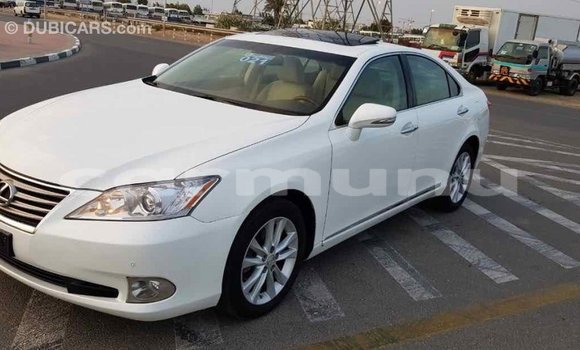 Buy Import Lexus ES White Car in Import - Dubai in Region of Bouenza Buy Import Lexus ES White Car in Import - Dubai in Region of Bouenza