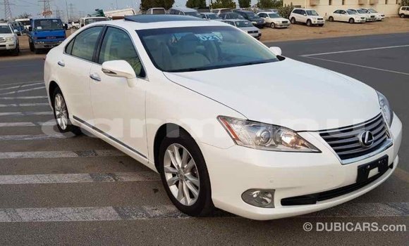 Buy Import Lexus ES White Car in Import - Dubai in Region of Bouenza Buy Import Lexus ES White Car in Import - Dubai in Region of Bouenza