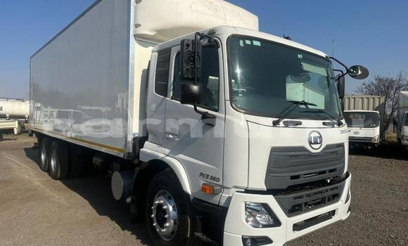 Buy Used Nissan UD White Truck in Import - Dubai in Region of Bouenza Buy Used Nissan UD White Truck in Import - Dubai in Region of Bouenza