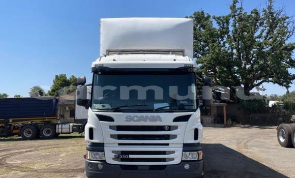 Acheter Occasion Utilitaire Scania R420 Autre à Import - Dubai, Région de la Bouenza Acheter Occasion Utilitaire Scania R420 Autre à Import - Dubai, Région de la Bouenza