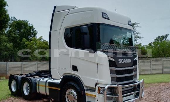 Acheter Occasion Utilitaire Scania R420 Autre à Import - Dubai, Région de la Bouenza Acheter Occasion Utilitaire Scania R420 Autre à Import - Dubai, Région de la Bouenza