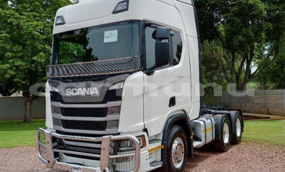 Acheter Occasion Utilitaire Scania R420 Autre à Import - Dubai, Région de la Bouenza Acheter Occasion Utilitaire Scania R420 Autre à Import - Dubai, Région de la Bouenza