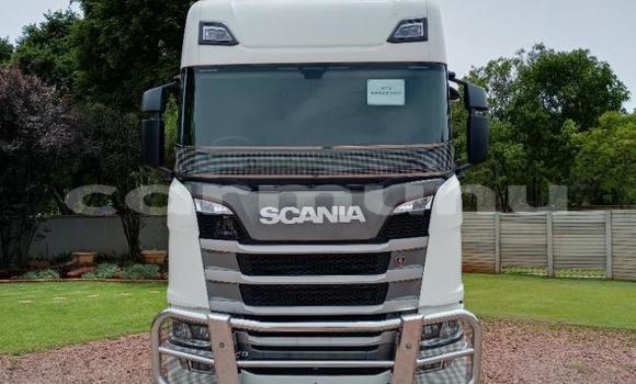 Acheter Occasion Utilitaire Scania R420 Autre à Import - Dubai, Région de la Bouenza Acheter Occasion Utilitaire Scania R420 Autre à Import - Dubai, Région de la Bouenza