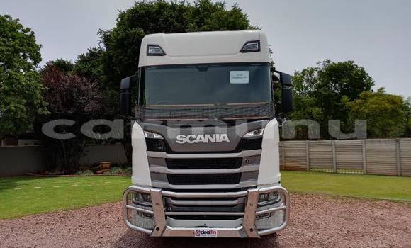 Acheter Occasion Utilitaire Scania R420 Autre à Import - Dubai, Région de la Bouenza Acheter Occasion Utilitaire Scania R420 Autre à Import - Dubai, Région de la Bouenza