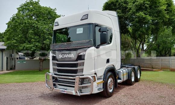 Acheter Occasion Utilitaire Scania R420 Autre à Import - Dubai, Région de la Bouenza Acheter Occasion Utilitaire Scania R420 Autre à Import - Dubai, Région de la Bouenza