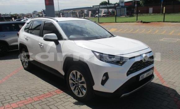 Acheter Occasion Voiture Toyota RAV4 Blanc à Import - Dubai, Région de la Bouenza Acheter Occasion Voiture Toyota RAV4 Blanc à Import - Dubai, Région de la Bouenza