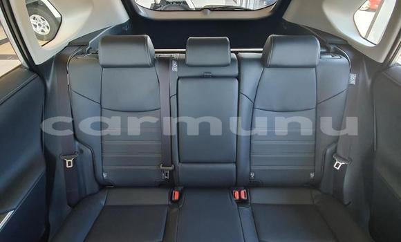 Acheter Occasion Voiture Toyota RAV4 Blanc à Import - Dubai, Région de la Bouenza Acheter Occasion Voiture Toyota RAV4 Blanc à Import - Dubai, Région de la Bouenza