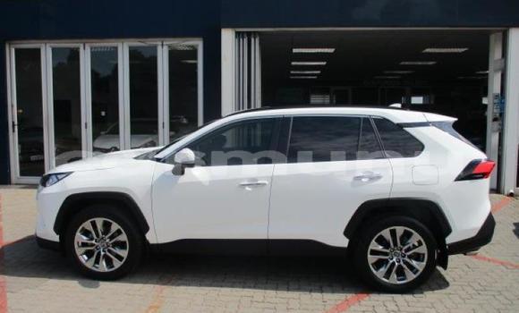 Acheter Occasion Voiture Toyota RAV4 Blanc à Import - Dubai, Région de la Bouenza Acheter Occasion Voiture Toyota RAV4 Blanc à Import - Dubai, Région de la Bouenza