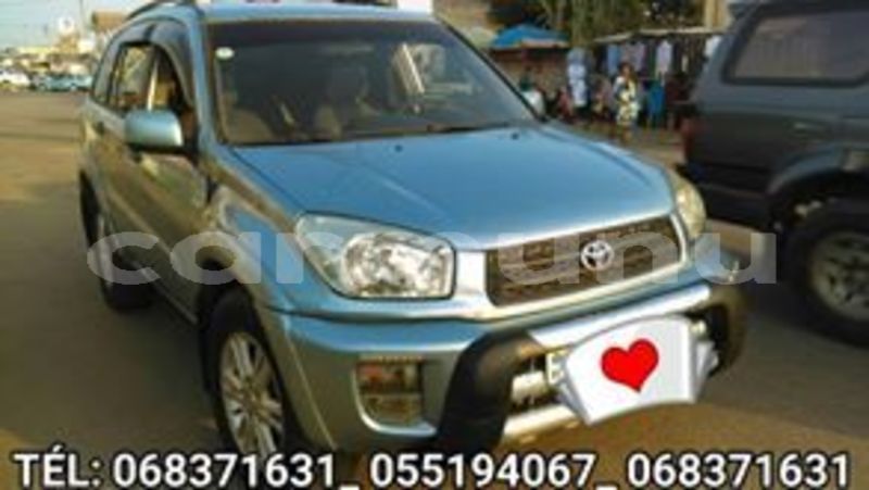 Big with watermark 61758598 149406792778301 6889482882608267264 n