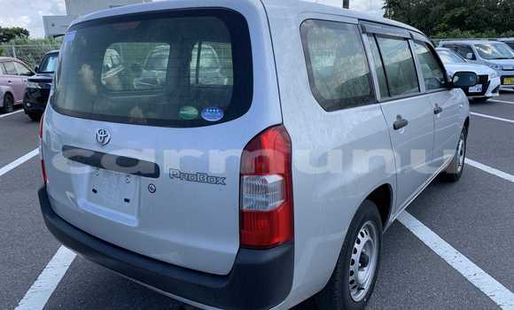 Acheter Occasion Voiture Toyota Probox Gris à Import - Dubai, Région de la Bouenza Acheter Occasion Voiture Toyota Probox Gris à Import - Dubai, Région de la Bouenza