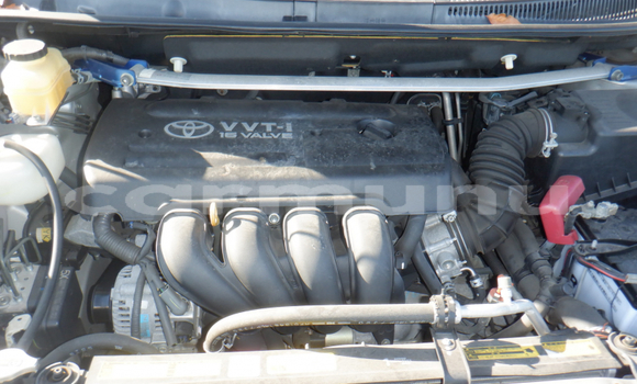 Acheter Occasion Voiture Toyota Wish Gris à Import - Dubai, Région de la Bouenza Acheter Occasion Voiture Toyota Wish Gris à Import - Dubai, Région de la Bouenza