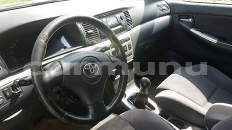 Big with watermark 61121804 147458099639837 7415943283509035008 n