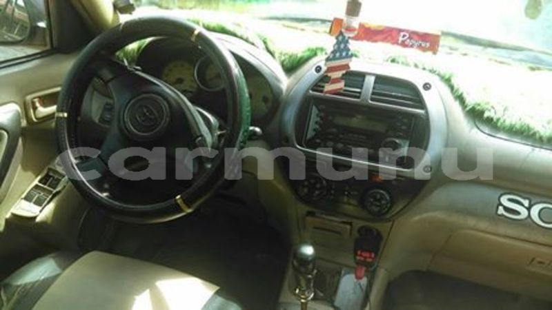 Big with watermark 57174925 139663390419308 6754932698369753088 n