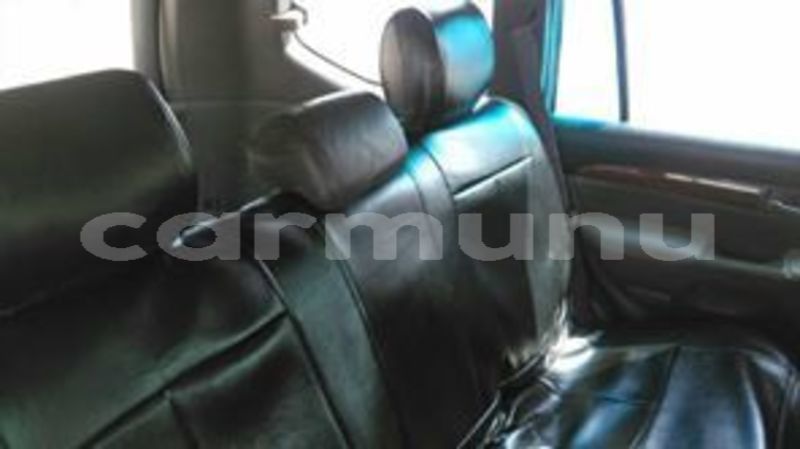 Big with watermark 56157371 137748360610811 171155778185461760 n