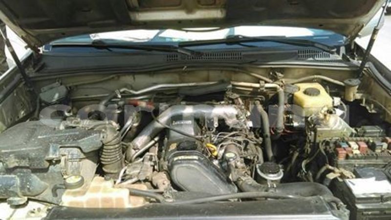 Big with watermark 55769966 137748297277484 3353665087834423296 n