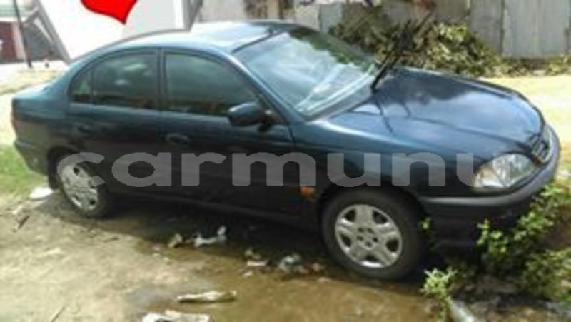 Big with watermark 53526700 133335881052059 6357439625518120960 n