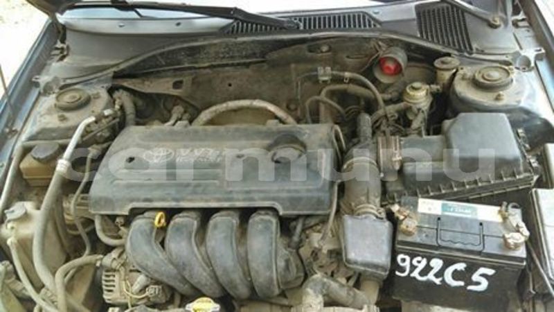 Big with watermark 53566854 133335701052077 7118314878963548160 n