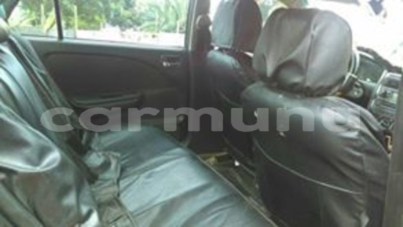 Big with watermark 53596237 133335821052065 533353080381505536 n