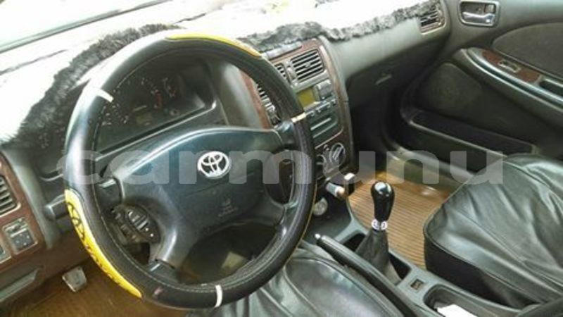 Big with watermark 53699132 133335637718750 4277137173062352896 n