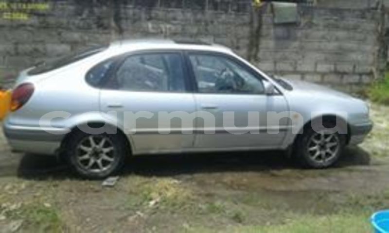 Big with watermark 53625682 131695354549445 4458450720701546496 n