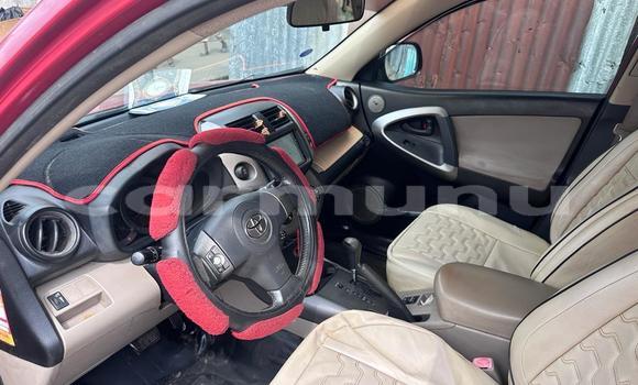 Buy Used Toyota RAV4 Red Car in Brazzaville in Municipality of Brazzaville Buy Used Toyota RAV4 Red Car in Brazzaville in Municipality of Brazzaville