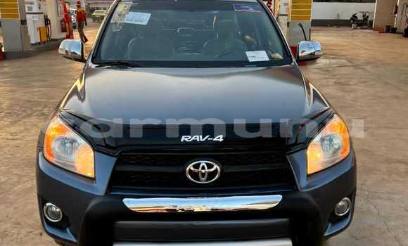 Buy Used Toyota RAV4 Silver Car in Brazzaville in Municipality of Brazzaville Buy Used Toyota RAV4 Silver Car in Brazzaville in Municipality of Brazzaville