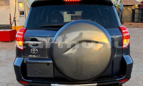 Buy Used Toyota RAV4 Silver Car in Brazzaville in Municipality of Brazzaville Buy Used Toyota RAV4 Silver Car in Brazzaville in Municipality of Brazzaville