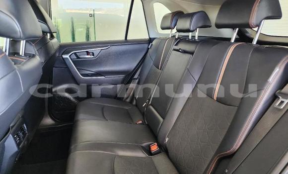 Acheter Occasion Voiture Toyota RAV4 Autre à Import - Dubai, Région de la Bouenza Acheter Occasion Voiture Toyota RAV4 Autre à Import - Dubai, Région de la Bouenza