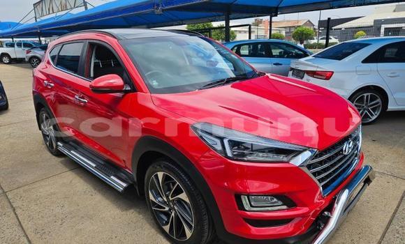 Buy Used Hyundai Tucson Red Car in Import - Dubai in Region of Bouenza Buy Used Hyundai Tucson Red Car in Import - Dubai in Region of Bouenza
