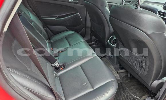 Buy Used Hyundai Tucson Red Car in Import - Dubai in Region of Bouenza Buy Used Hyundai Tucson Red Car in Import - Dubai in Region of Bouenza
