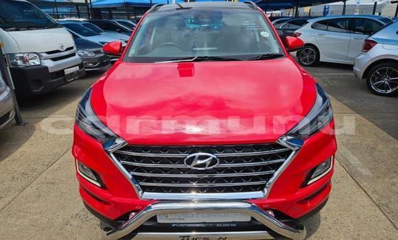 Buy Used Hyundai Tucson Red Car in Import - Dubai in Region of Bouenza Buy Used Hyundai Tucson Red Car in Import - Dubai in Region of Bouenza