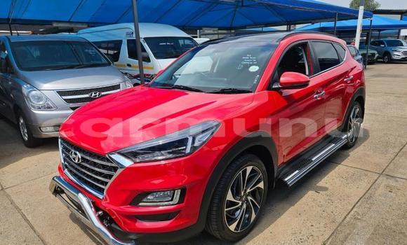 Buy Used Hyundai Tucson Red Car in Import - Dubai in Region of Bouenza Buy Used Hyundai Tucson Red Car in Import - Dubai in Region of Bouenza
