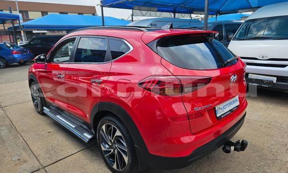 Buy Used Hyundai Tucson Red Car in Import - Dubai in Region of Bouenza Buy Used Hyundai Tucson Red Car in Import - Dubai in Region of Bouenza