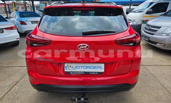 Buy Used Hyundai Tucson Red Car in Import - Dubai in Region of Bouenza Buy Used Hyundai Tucson Red Car in Import - Dubai in Region of Bouenza