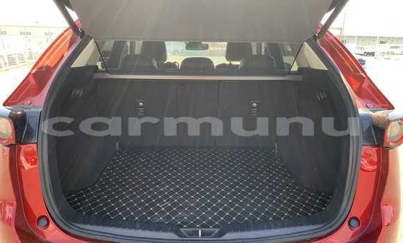 Acheter Occasion Voiture Mazda CX-5 Rouge à Import - Dubai, Région de la Bouenza Acheter Occasion Voiture Mazda CX-5 Rouge à Import - Dubai, Région de la Bouenza