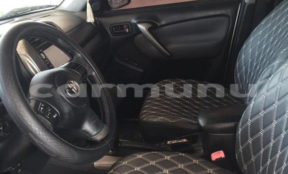 Buy Used Toyota RAV4 White Car in Brazzaville in Municipality of Brazzaville Buy Used Toyota RAV4 White Car in Brazzaville in Municipality of Brazzaville