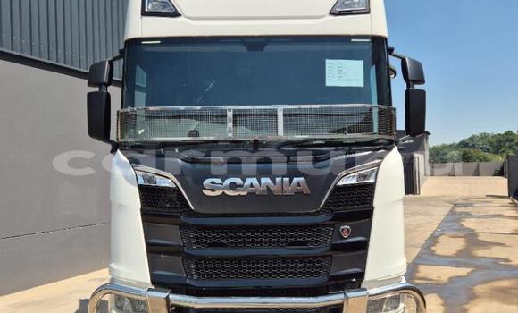 Acheter Occasion Utilitaire Scania R420 Blanc à Import - Dubai, Région de la Bouenza Acheter Occasion Utilitaire Scania R420 Blanc à Import - Dubai, Région de la Bouenza