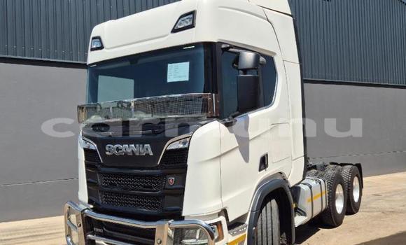 Acheter Occasion Utilitaire Scania R420 Blanc à Import - Dubai, Région de la Bouenza Acheter Occasion Utilitaire Scania R420 Blanc à Import - Dubai, Région de la Bouenza