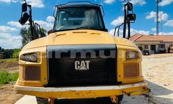 Acheter Occasion Utilitaire Caterpillar 120 Autre à Import - Dubai, Région de la Bouenza Acheter Occasion Utilitaire Caterpillar 120 Autre à Import - Dubai, Région de la Bouenza