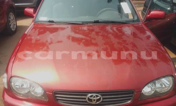 Acheter Occasion Voiture Toyota Belta Rouge à Brazzaville, Commune de Brazzaville