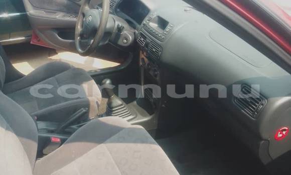 Acheter Occasion Voiture Toyota Belta Rouge à Brazzaville, Commune de Brazzaville Acheter Occasion Voiture Toyota Belta Rouge à Brazzaville, Commune de Brazzaville