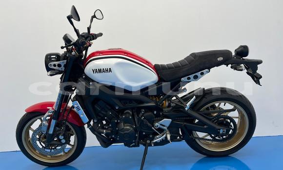 Acheter Occasion Moto Yamaha XSR Rouge à Brazzaville, Commune de Brazzaville