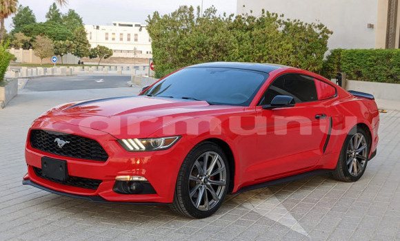 Buy Used Ford Mustang Red Car in Brazzaville in Municipality of Brazzaville Buy Used Ford Mustang Red Car in Brazzaville in Municipality of Brazzaville