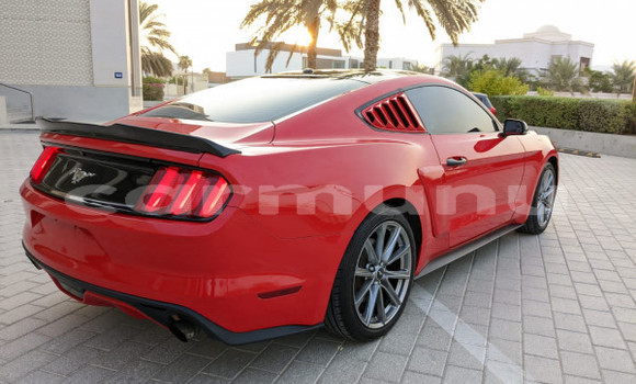 Buy Used Ford Mustang Red Car in Brazzaville in Municipality of Brazzaville Buy Used Ford Mustang Red Car in Brazzaville in Municipality of Brazzaville