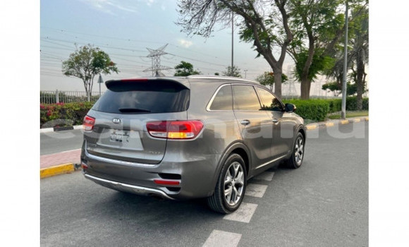 Buy Used Kia Sportage Silver Car in Djambala in uplands Buy Used Kia Sportage Silver Car in Djambala in uplands